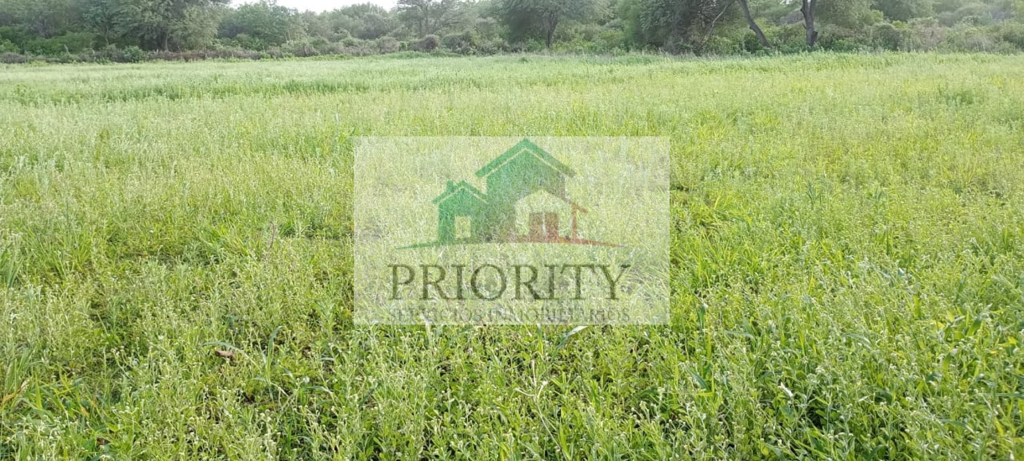 Finca en Quebrachal 230 HA