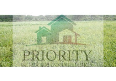 Finca en Quebrachal 230 HA